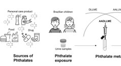 Article: Development of an Air-assisted Dispersive Liquid-Liquid Microextraction Method as a Valuable Biomonitoring Tool for Exposure Assessment of Phthalates