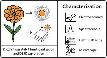 Evaluation of Calendula officinalis Extract as a Functionalization Agent for Gold Nanoparticles – Comprehensive Multi-Technique Analytical Characterization and its use as a Dye-Sensitized Solar Cell Sensitizer