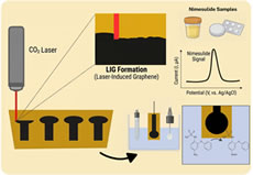 Article: Laser-Induced Graphene Sensor for Electrochemical Determination of Nimesulide