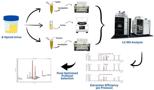 Article: Comprehensive Extraction Optimization and LC–MS Validation for Detection of Illicit and Prescription Opioids in Human Urine