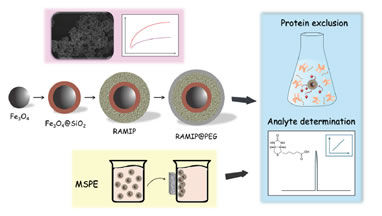 Article: Magnetic Molecularly Imprinted Polymer Covered with Polyethylene Glycol: A Restricted Access Material for Protein Exclusion