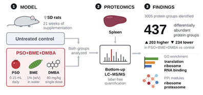 Article: Bottom-Up Proteomic Profiling of Rat Spleen Under Combined DMBA Exposure and Dietary Supplementation